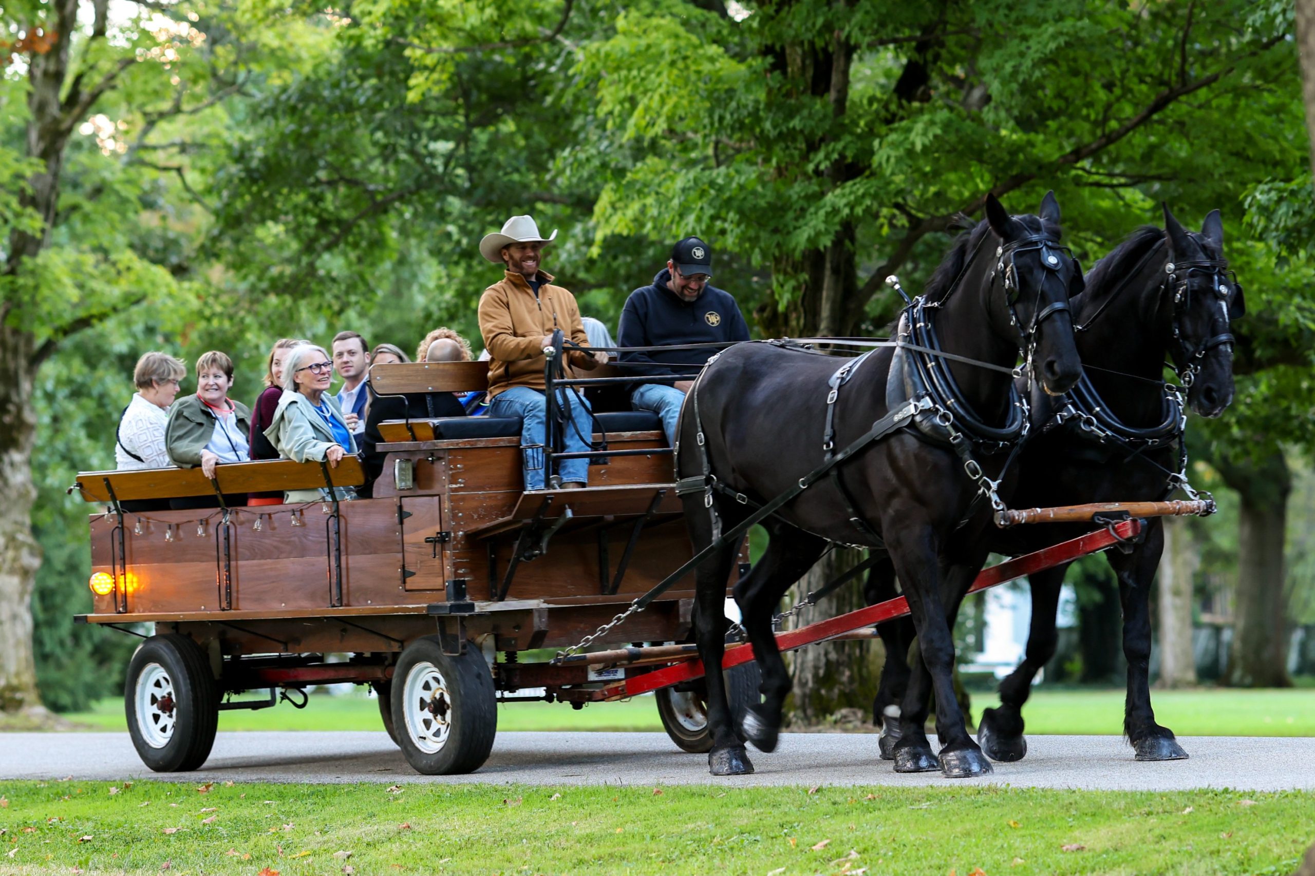 Chefs Carriage Driving